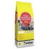 PASTINA PRESTIGE POLVO 2KG NIEVE WEBER 92-1200